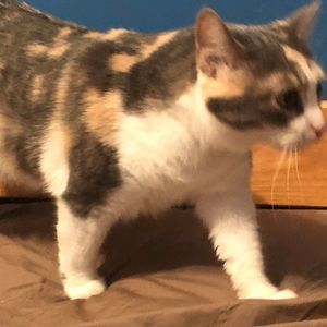 Meet your Posher, Logan